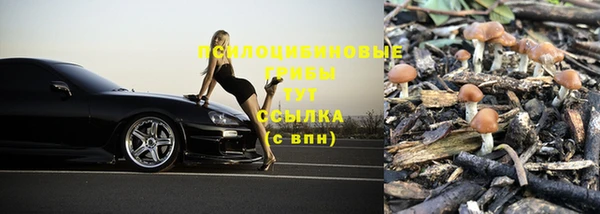 герыч Ельня