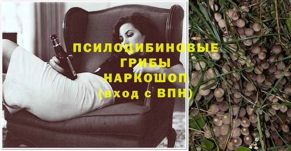 каннабис Дмитриев
