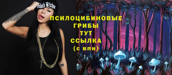 крисы Елизово