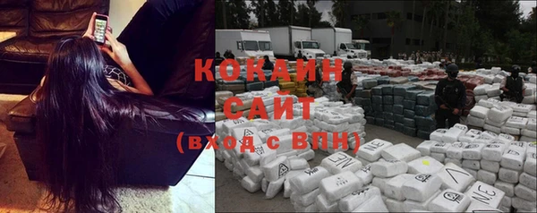 крисы Елизово