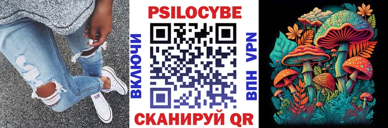 Псилоцибиновые грибы MAGIC MUSHROOMS  shop формула  Черемхово  blacksprut tor 